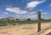 Non-developable land for sale on España, Aspe, ref: TR131166 photo