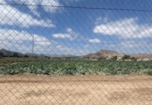 Non-developable land for sale on España, Aspe, ref: TR131166 photo