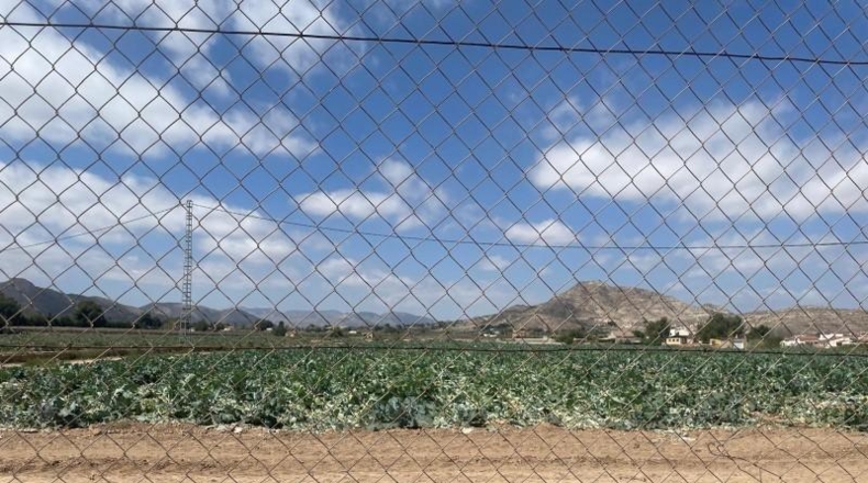 Alicante - Aspe - 21000m2
