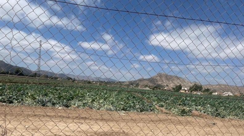 Alicante - Aspe - 21000m2