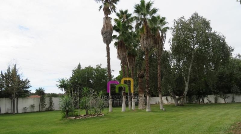 Badajoz - Badajoz - 1125m2
