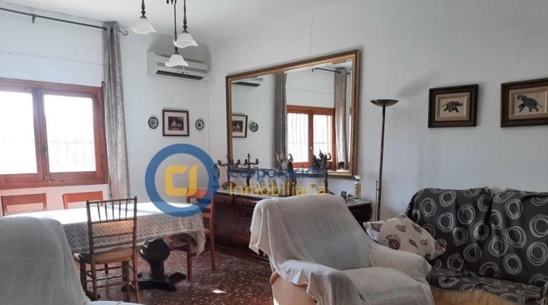 Murcia - Lorca - 3700m2