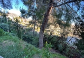 Sòl urbà en venda a la España, Calp, ref.: TR314245 foto