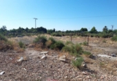 Xalet independent amb terreny en venda a la España, Crevillent, ref.: TR153125 foto