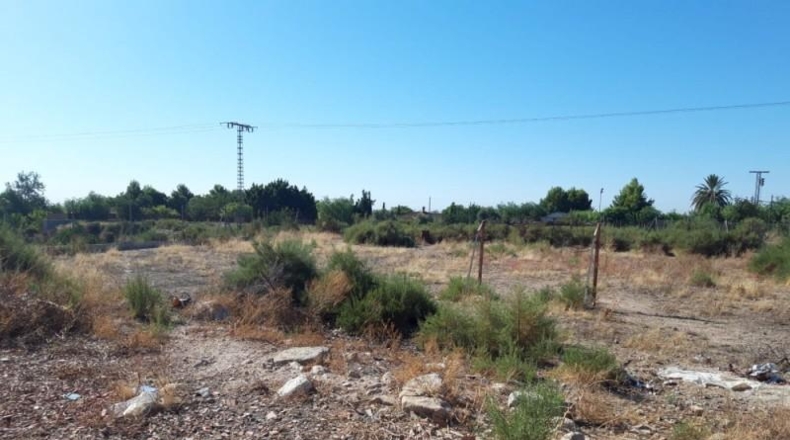 Alicante - Crevillent - 4000m2