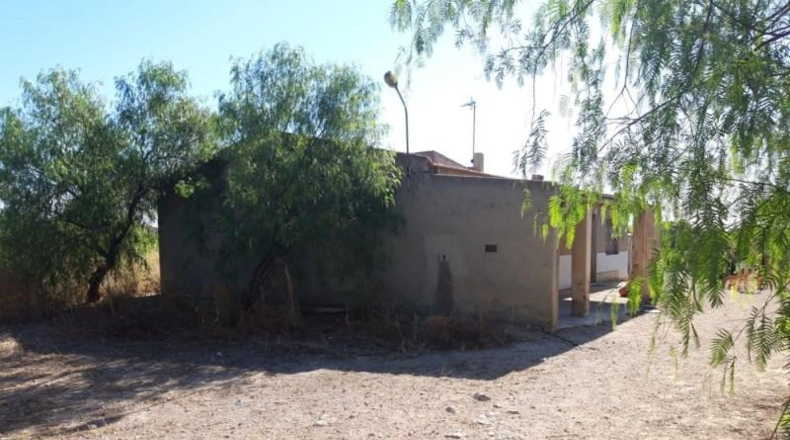 Alicante - Crevillent - 4000m2