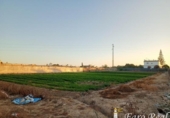 Terreno no urbanizable en venta en la España, Sanlúcar de Barrameda, ref: TR337135 foto