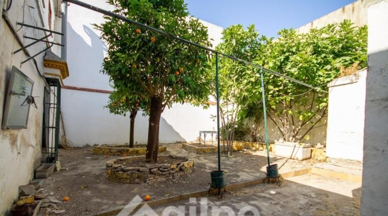 Sevilla - Marchena - 369m2