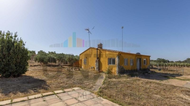 Badajoz - Badajoz - 5000m2