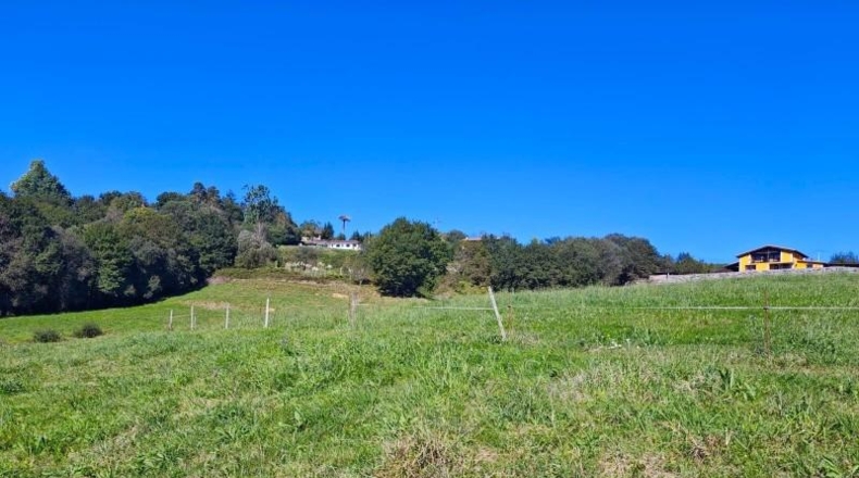 Cantabria - Cabezón de la Sal - 5932m2