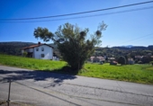 Non-developable land for sale on España, Cabezón de la Sal, ref: TR340979 photo