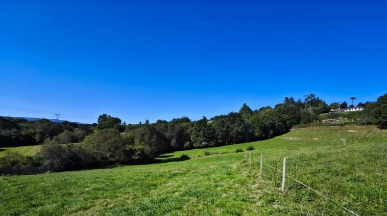 Cantabria - Cabezón de la Sal - 5932m2