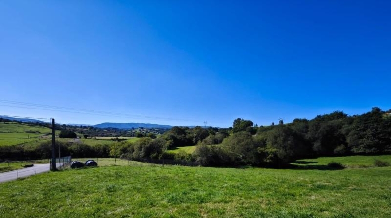 Cantabria - Cabezón de la Sal - 5932m2