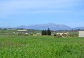 Land suitable for development for sale on España, Santa Margalida, ref: TR120151 photo