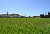 Land suitable for development for sale on España, Santa Margalida, ref: TR120151 photo