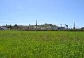 Land suitable for development for sale on España, Santa Margalida, ref: TR120151 photo