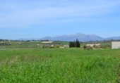Land suitable for development for sale on España, Santa Margalida, ref: TR120151 photo