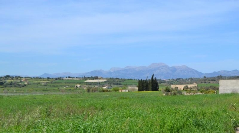 Balearic Islands - Son Bauló - 17789m2