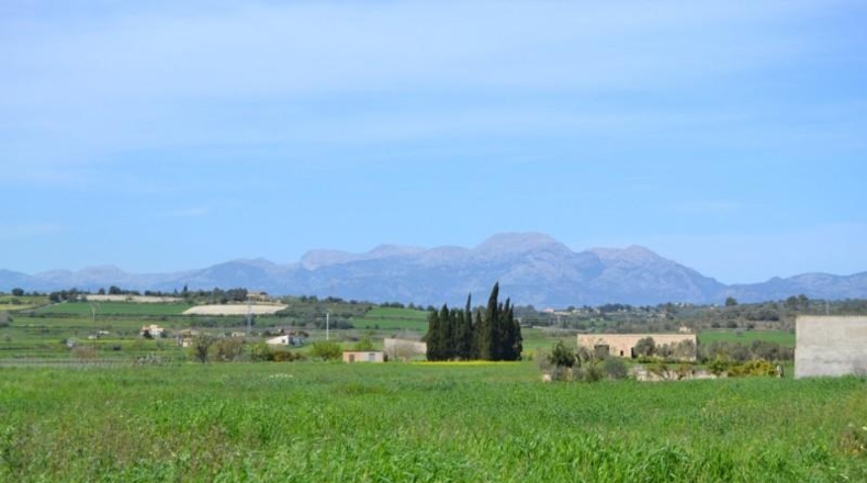 Balearic Islands - Son Bauló - 17789m2
