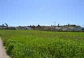 Land suitable for development for sale on España, Santa Margalida, ref: TR120151 photo