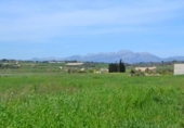 Land suitable for development for sale on España, Santa Margalida, ref: TR120151 photo