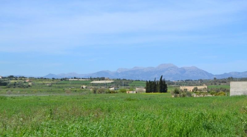 Balearic Islands - Son Bauló - 17789m2