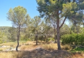 Non-developable land for sale on España, Sant Pere de Ribes, ref: TR319595 photo