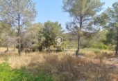 Non-developable land for sale on España, Sant Pere de Ribes, ref: TR319595 photo