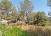 Non-developable land for sale on España, Sant Pere de Ribes, ref: TR319595 photo