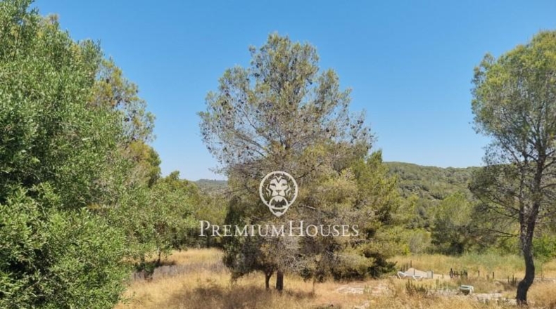 Barcelona - Sant Pere de Ribes - 30134m2