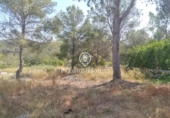 Non-developable land for sale on España, Sant Pere de Ribes, ref: TR319595 photo