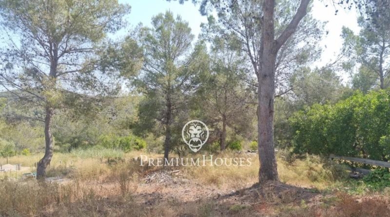 Barcelona - Sant Pere de Ribes - 30134m2