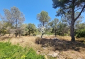 Non-developable land for sale on España, Sant Pere de Ribes, ref: TR319595 photo
