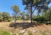 Non-developable land for sale on España, Sant Pere de Ribes, ref: TR319595 photo