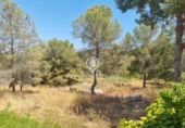 Non-developable land for sale on España, Sant Pere de Ribes, ref: TR319595 photo