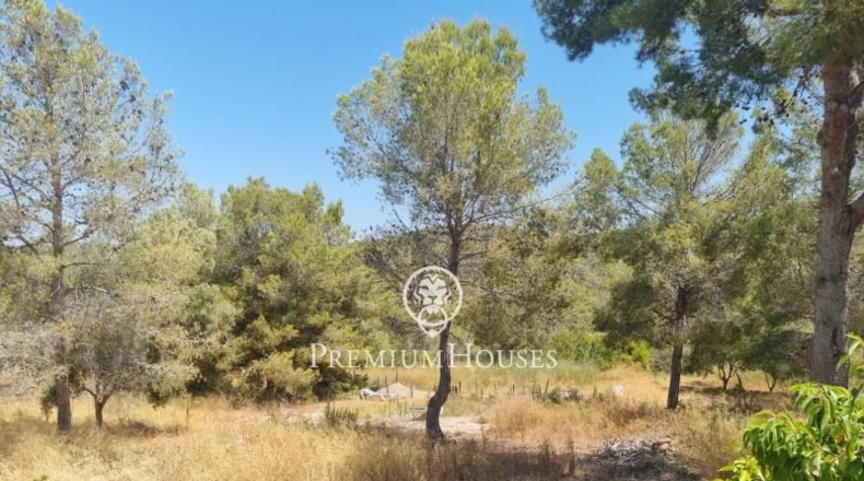 Barcelona - Sant Pere de Ribes - 30134m2