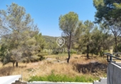 Non-developable land for sale on España, Sant Pere de Ribes, ref: TR319595 photo