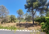 Non-developable land for sale on España, Sant Pere de Ribes, ref: TR319595 photo