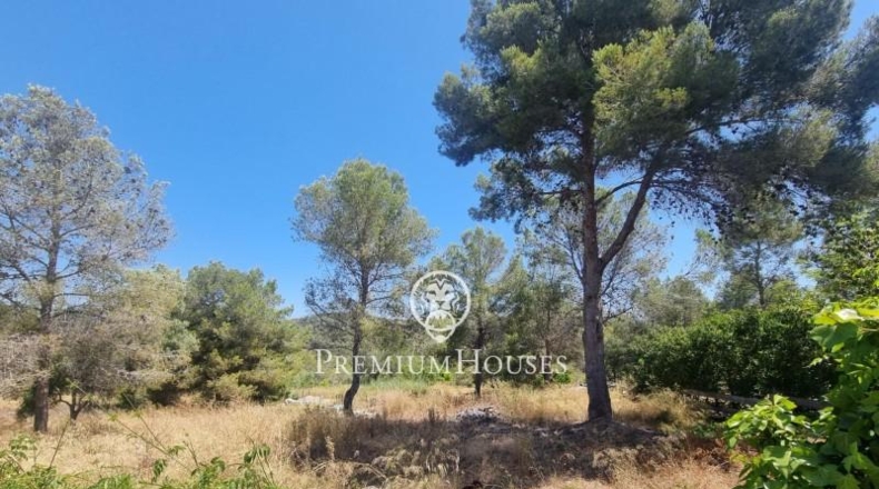 Barcelona - Sant Pere de Ribes - 30134m2