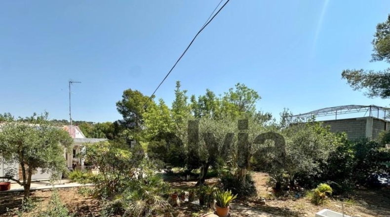 Alicante - Dolores - 120m2