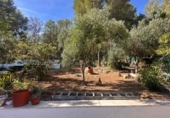 Xalet independent amb terreny en venda a la España, Carlet, ref.: TR270330 foto