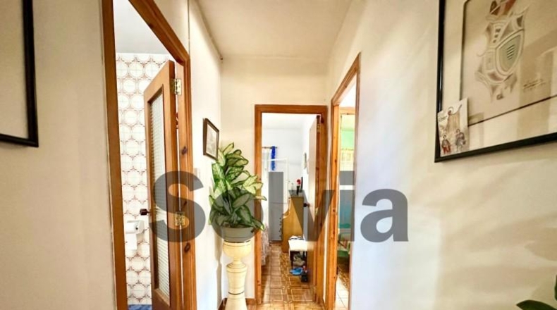 Alicante - Dolores - 120m2