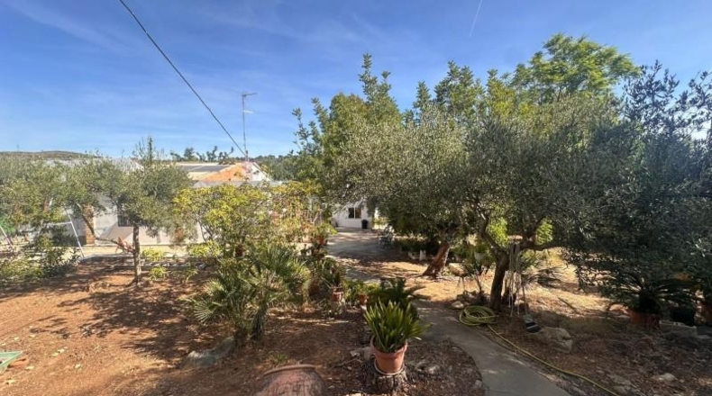 Alicante - Dolores - 120m2