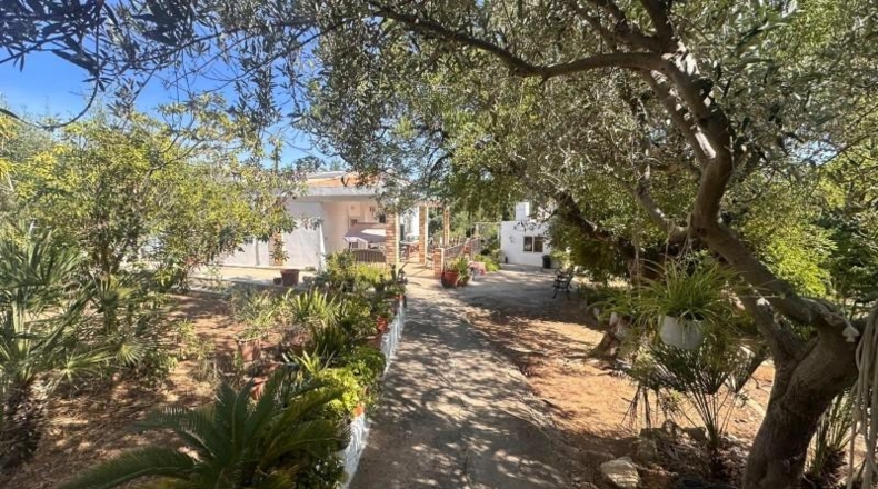 Alicante - Dolores - 120m2