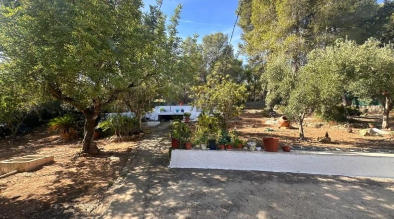 Alicante - Dolores - 120m2