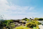 Urban land for sale on España, Tahíche, ref: TR117213 photo