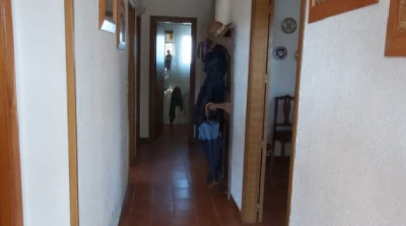 Palencia - Palencia - 1461m2