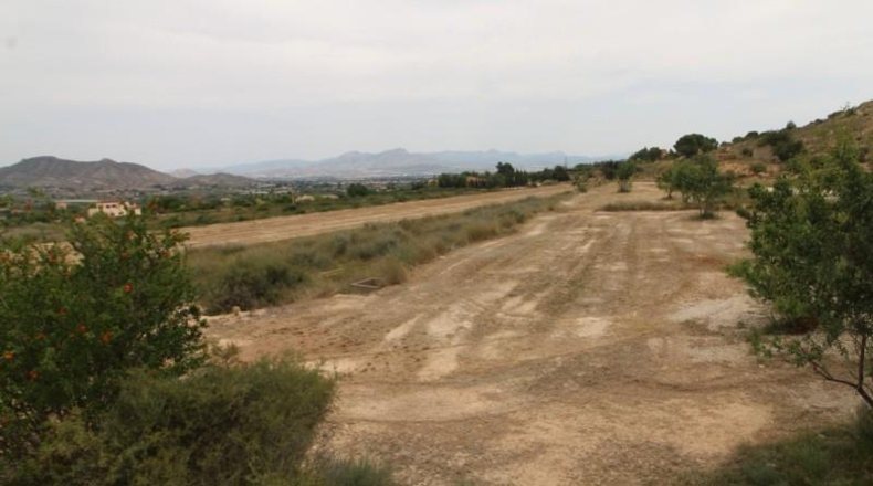 Alicante - Aspe - 44000m2