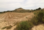 Parcel·la urbanitzable en venda a la España, Asp, ref.: TR119698 foto