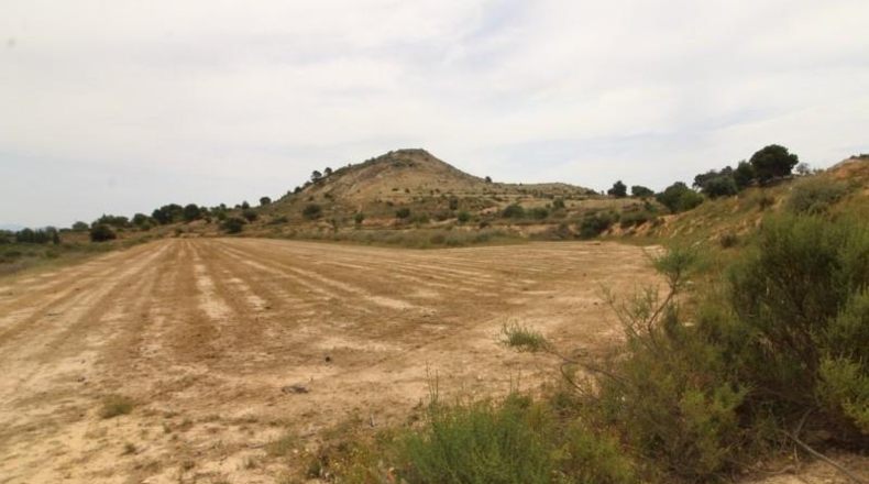 Alicante - Aspe - 44000m2